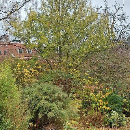 Ferienwohnung باد سيغيبيرغ المظهر الخارجي الصورة